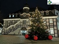 Der große, geschmückte Weihnachtsbaum vor dem Rathaus.
