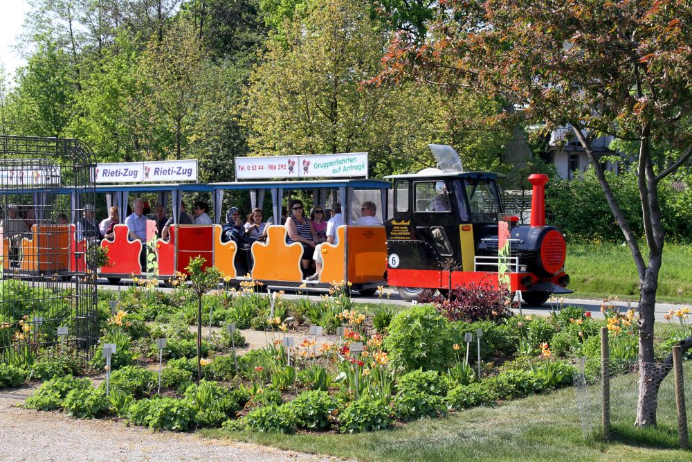 Der Rieti-Express, ein kleiner Bummelzug, der durch Stadt und Gartenschaupark rollt.